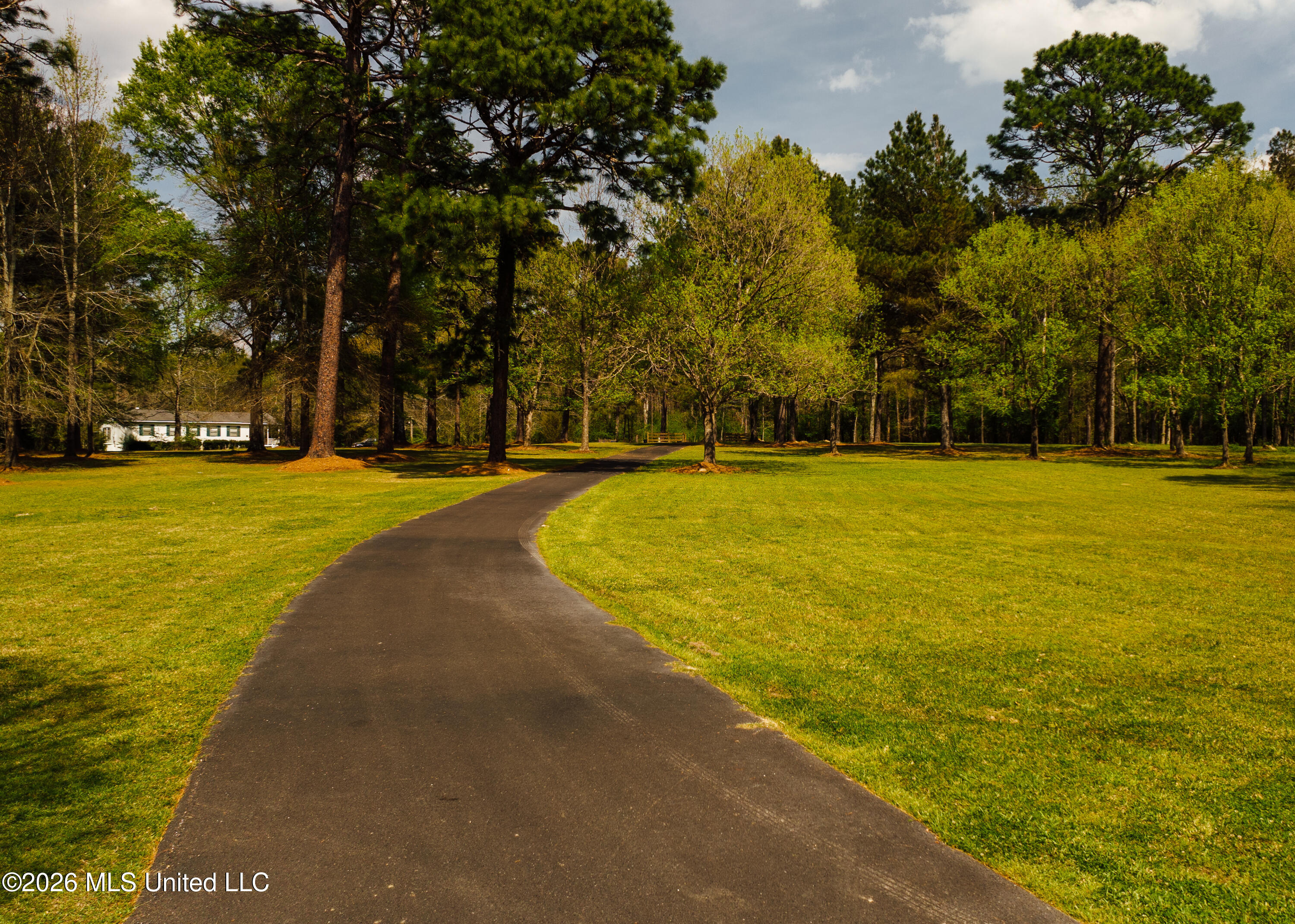 853 Spring Water Ranch Road Brandon, MS 39042 - Photo 17 of 17 853 Springwater Ranch Rd. Pics-20