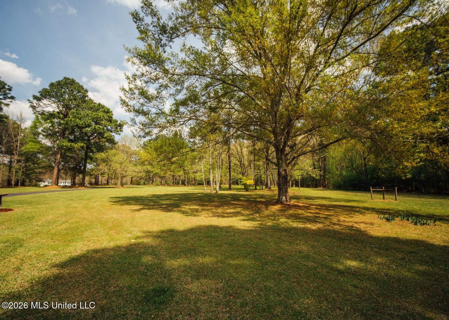 853 Spring Water Ranch Road Brandon, MS 39042 - Photo 18 of 50 853 Springwater Ranch Rd. Pics-65 (Large