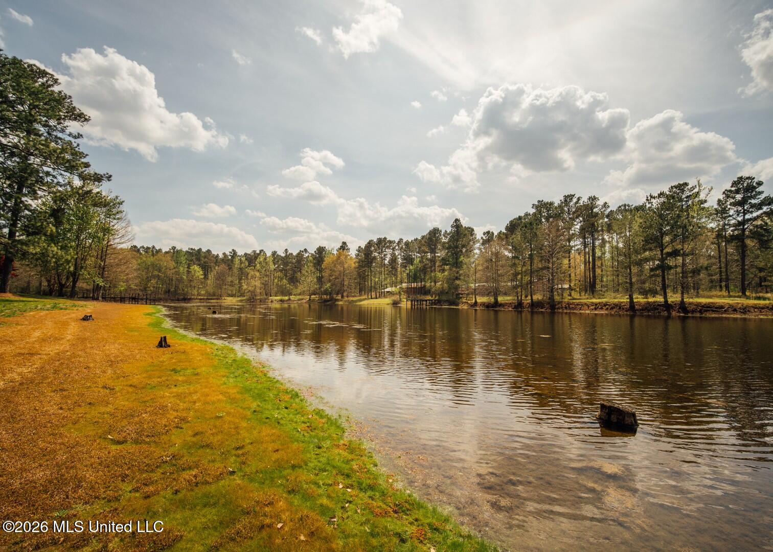 853 Spring Water Ranch Road Brandon, MS 39042 - Photo 36 of 50 853 Springwater Ranch Rd. Pics-49 (Large