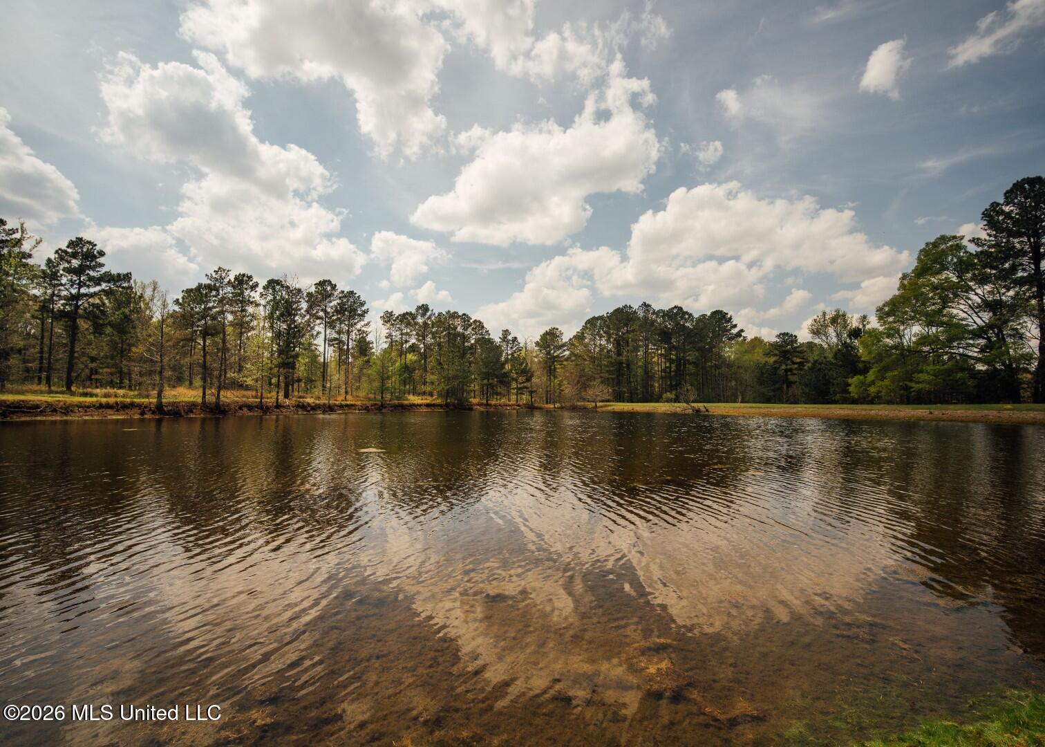 853 Spring Water Ranch Road Brandon, MS 39042 - Photo 47 of 50 853 Springwater Ranch Rd. Pics-48 (Large