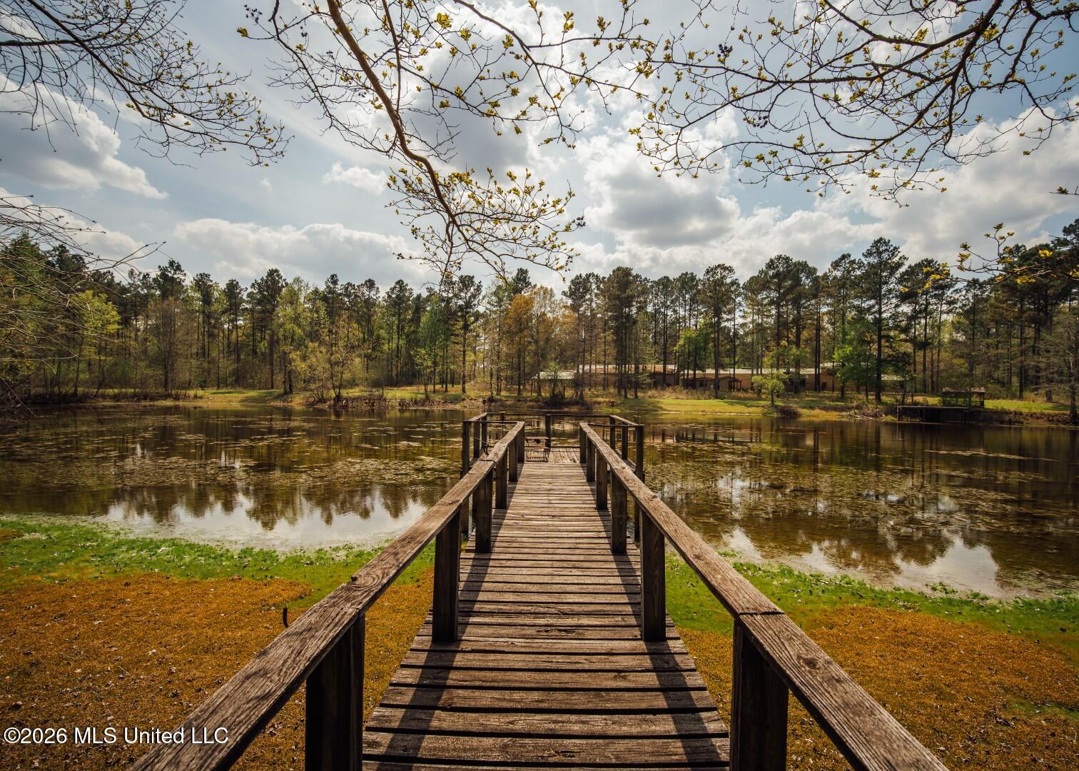 853 Spring Water Ranch Road Brandon, MS 39042 - Photo 48 of 50 853 Springwater Ranch Rd. Pics-60 (Large