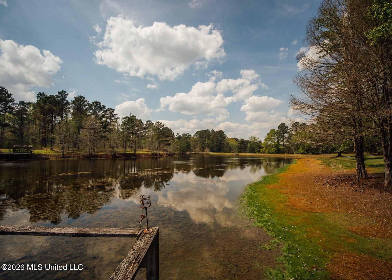 853 Spring Water Ranch Road Brandon, MS 39042 - Photo 49 of 50 853 Springwater Ranch Rd. Pics-61 (Large
