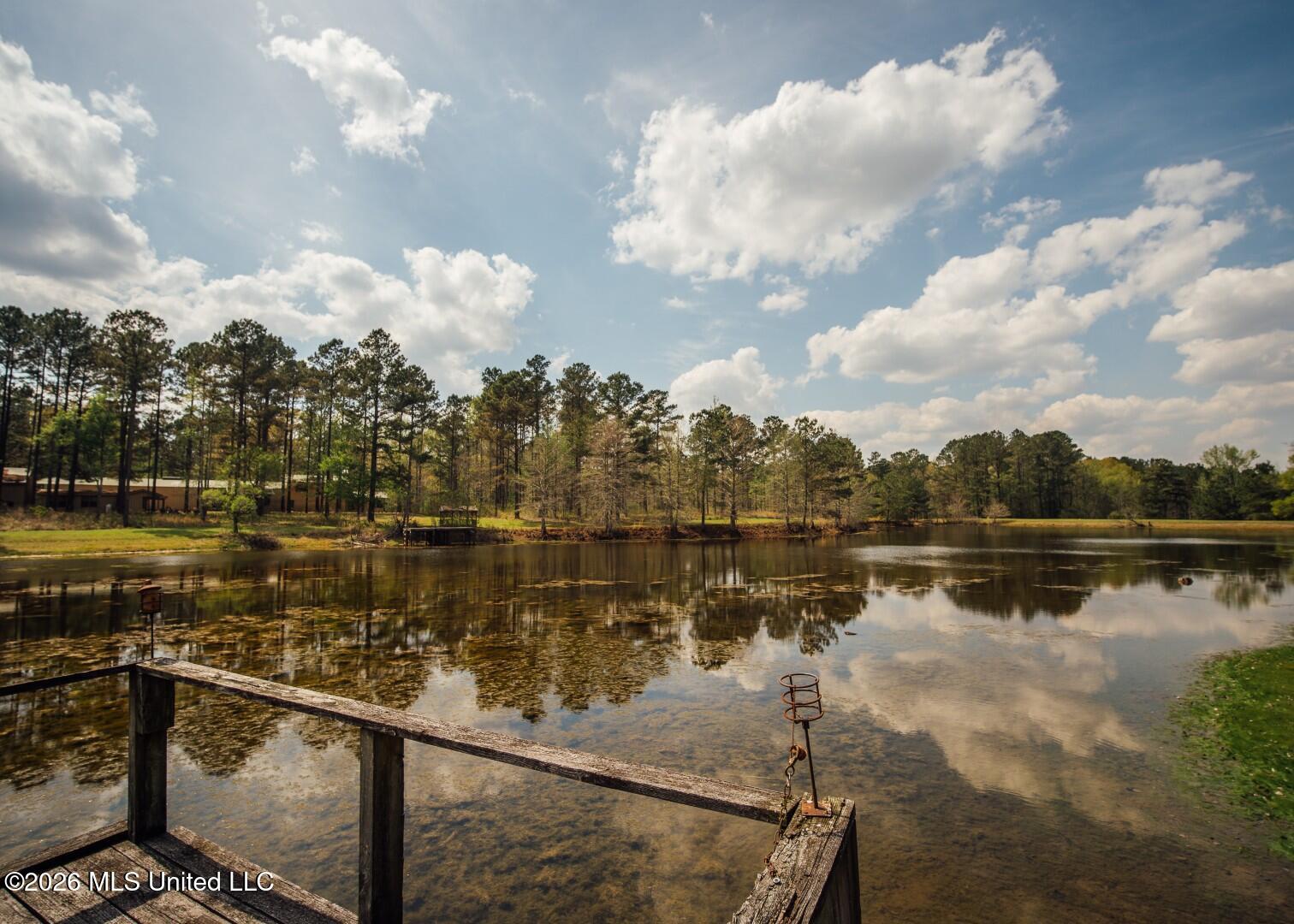 853 Spring Water Ranch Road Brandon, MS 39042 - Photo 50 of 50 853 Springwater Ranch Rd. Pics-63 (Large