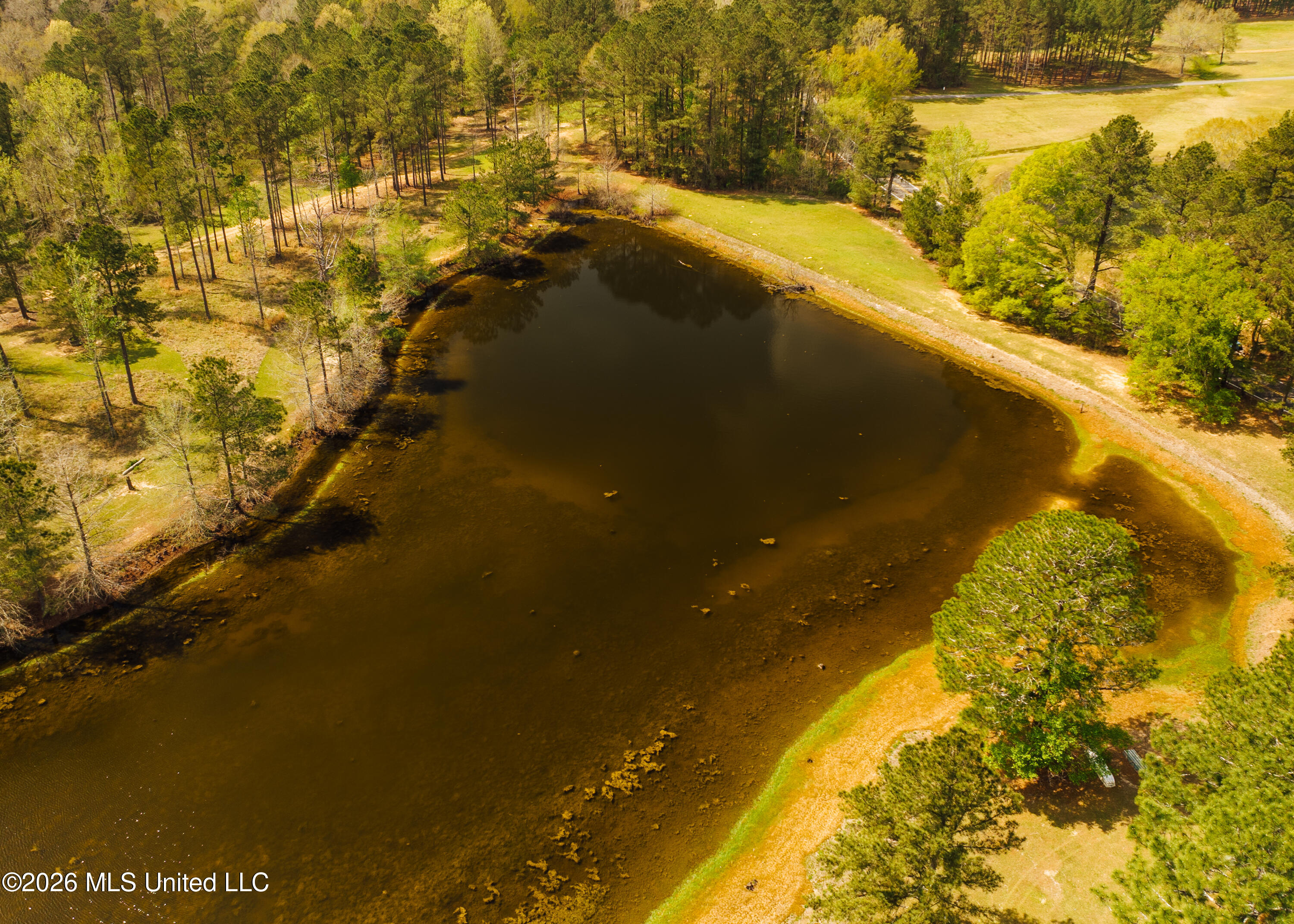853 Spring Water Ranch Road Brandon, MS 39042 - Photo 5 of 17 853 Springwater Ranch Rd. Pics-5