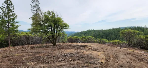 a view of dirt field with trees in background