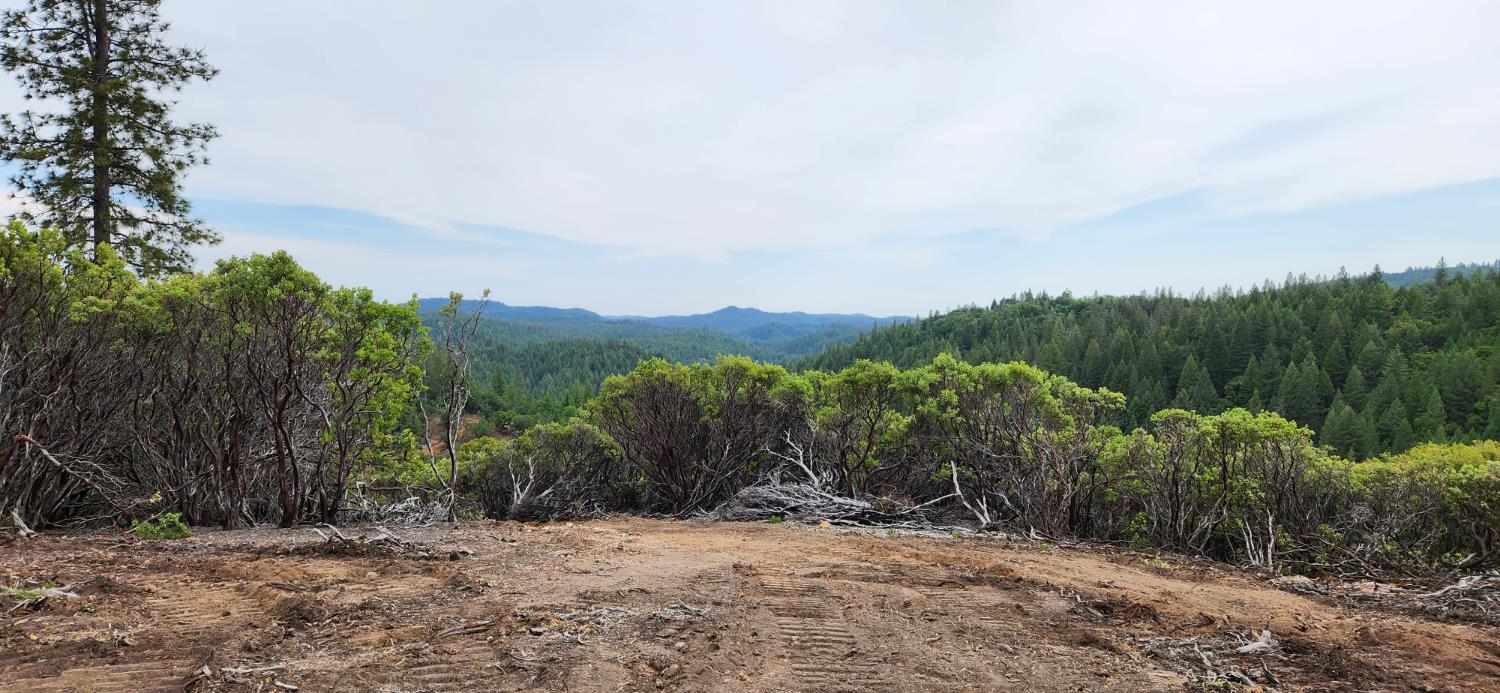 18100 Greenhorn Road Grass Valley, CA 95945 - Photo 4 of 11 a view of a out door space area