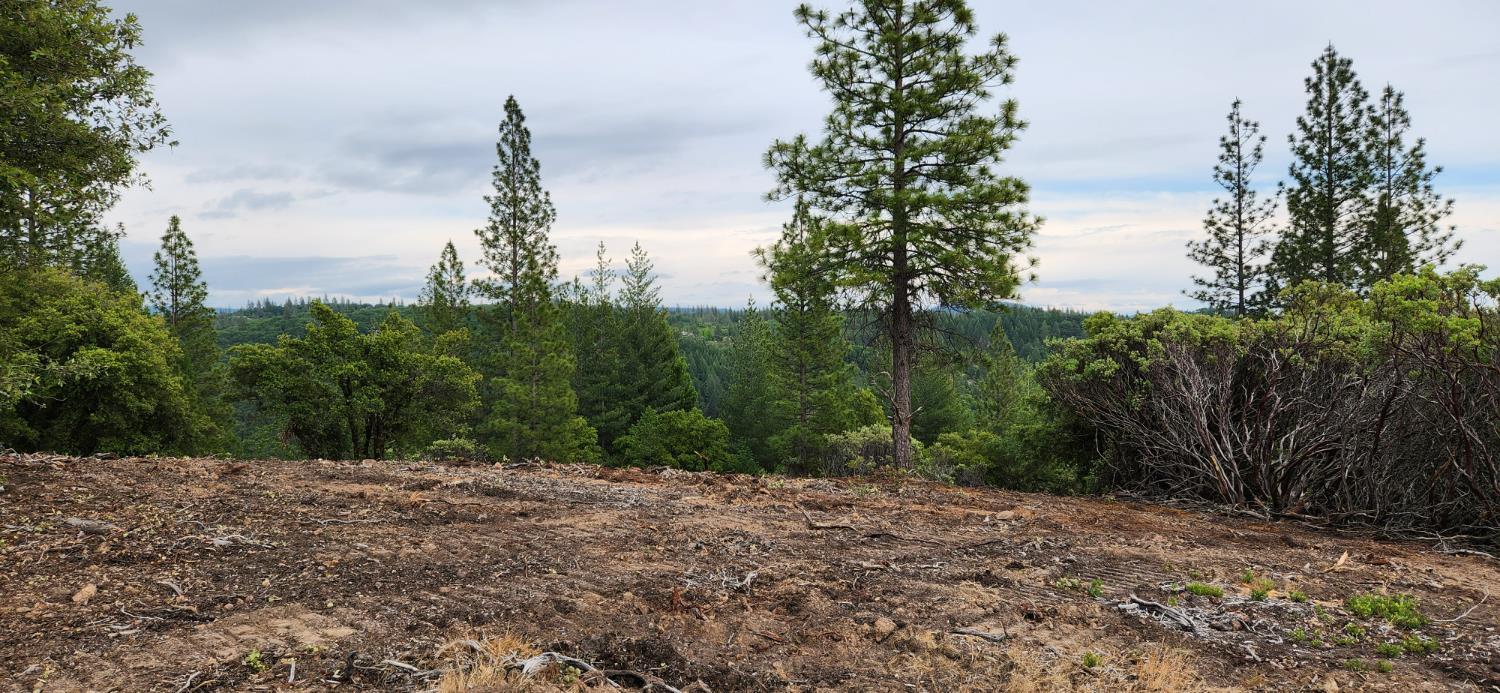 18100 Greenhorn Road Grass Valley, CA 95945 - Photo 5 of 11 a view of outdoor space and yard