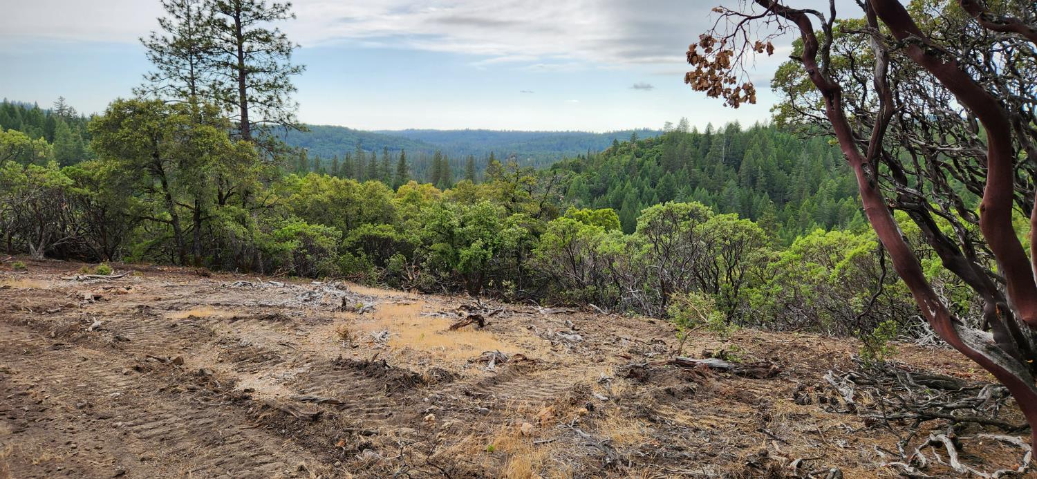 18100 Greenhorn Road Grass Valley, CA 95945 - Photo 6 of 11 a view of a dry yard with trees in the background