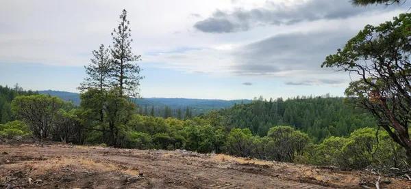 a view of a pathway with a yard