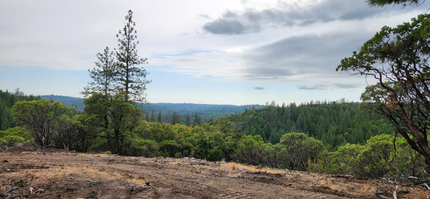 18100 Greenhorn Road Grass Valley, CA 95945 - Photo 8 of 11 a view of a pathway with a yard