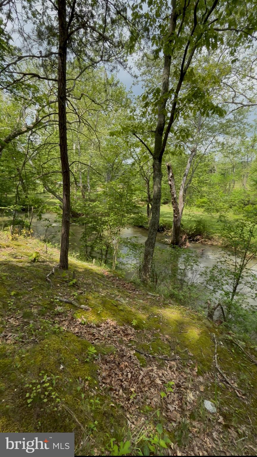 10105 Cottage Inn Lane Northeast Cumberland, MD 21502 - Photo 16 of 20 a view of a yard with trees