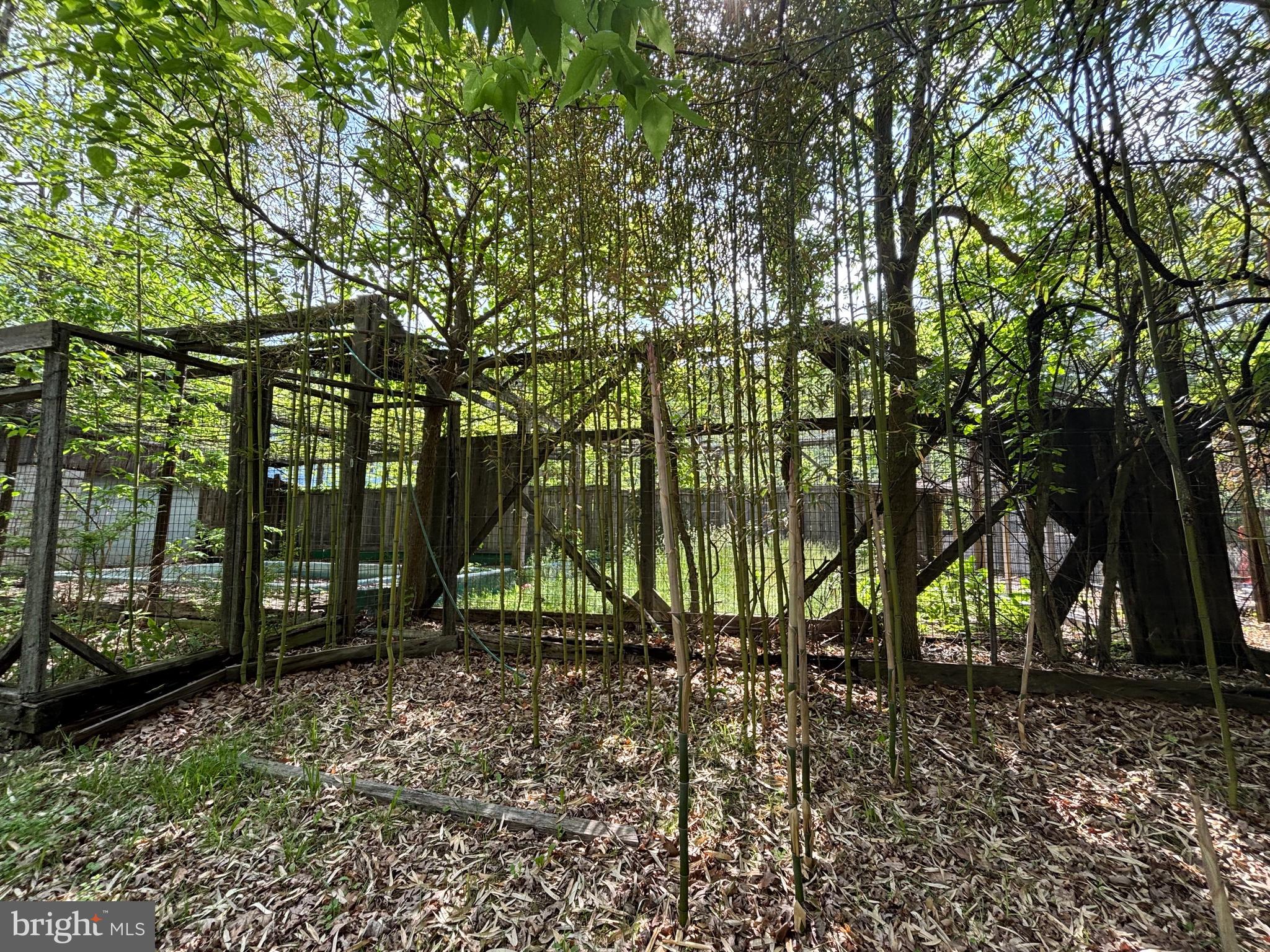 10105 Cottage Inn Lane Northeast Cumberland, MD 21502 - Photo 10 of 20 a view of backyard