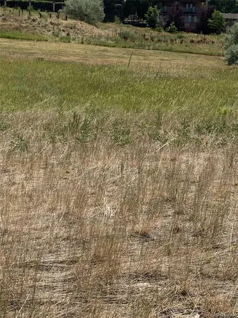 a view of a yard with an outdoor space