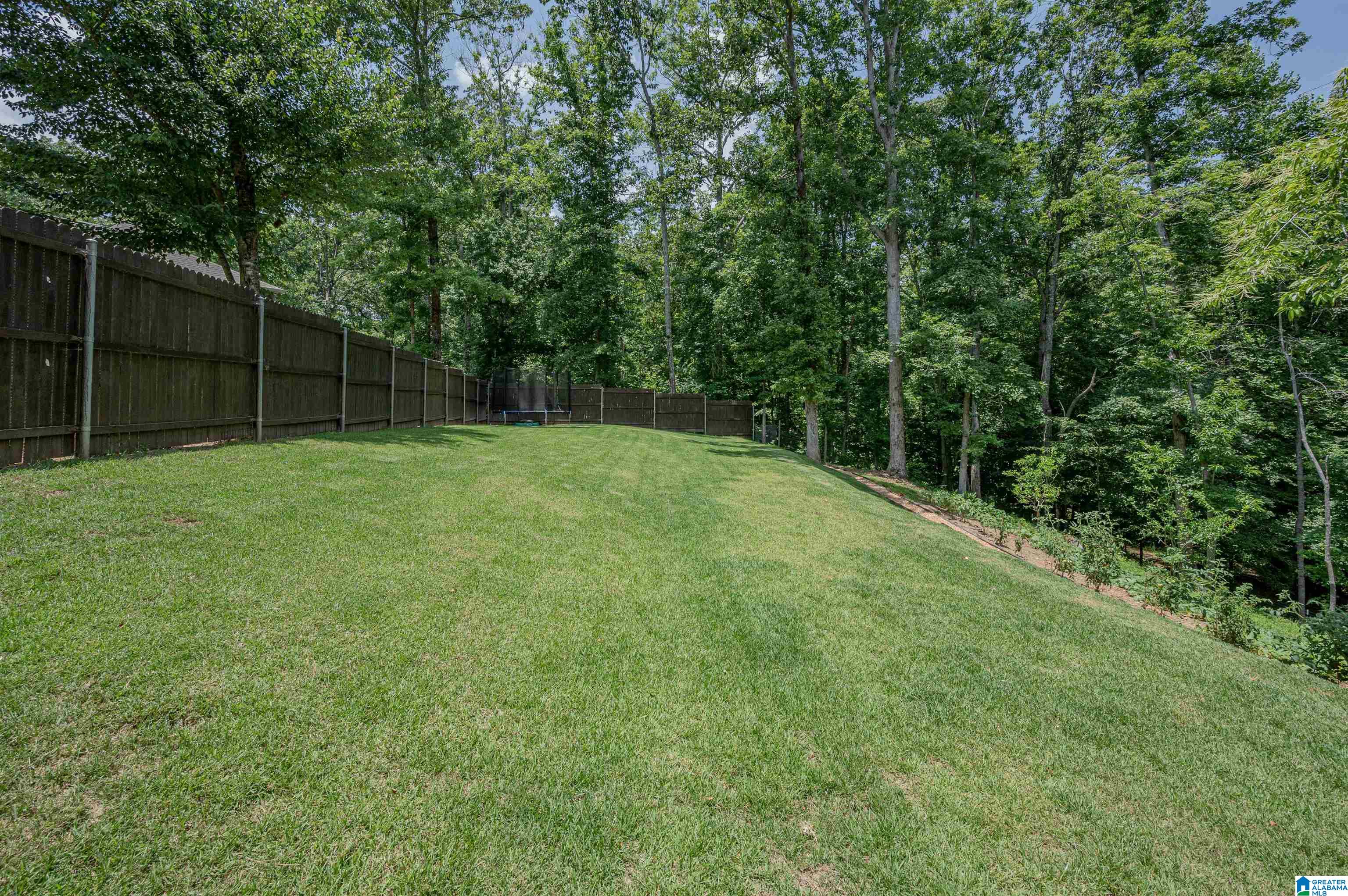 206 Highland Ridge Cove Chelsea, AL 35043 - Photo 45 of 50