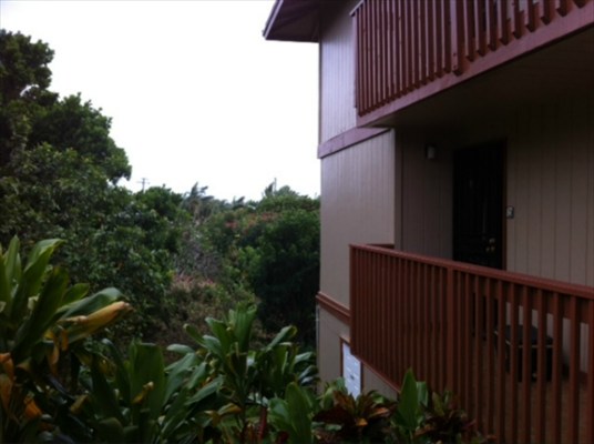 2240 Kuai Road, Unit 3 Koloa, HI 96756 - Photo 9 of 10