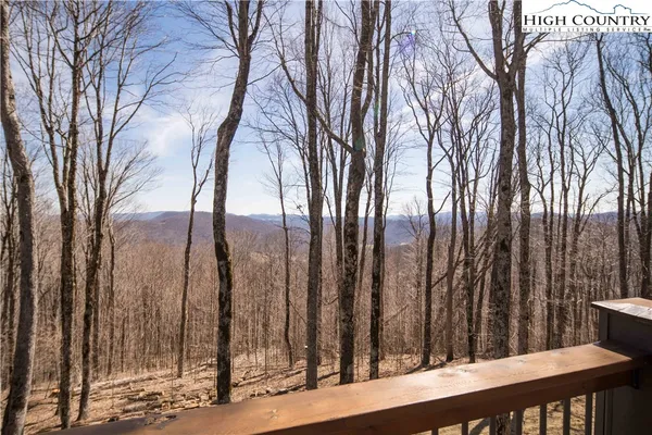 a view of a backyard with trees