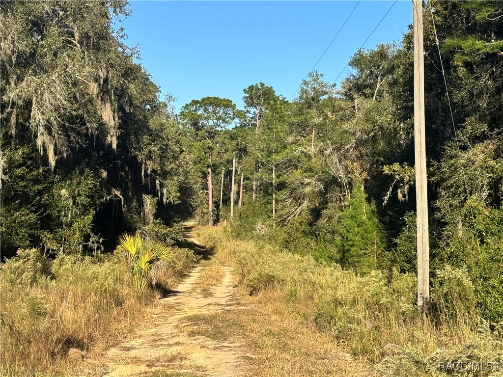 7451 West Dunnellon Road Dunnellon, FL 34433 - Photo 6 of 15 Service Road at Back of Property