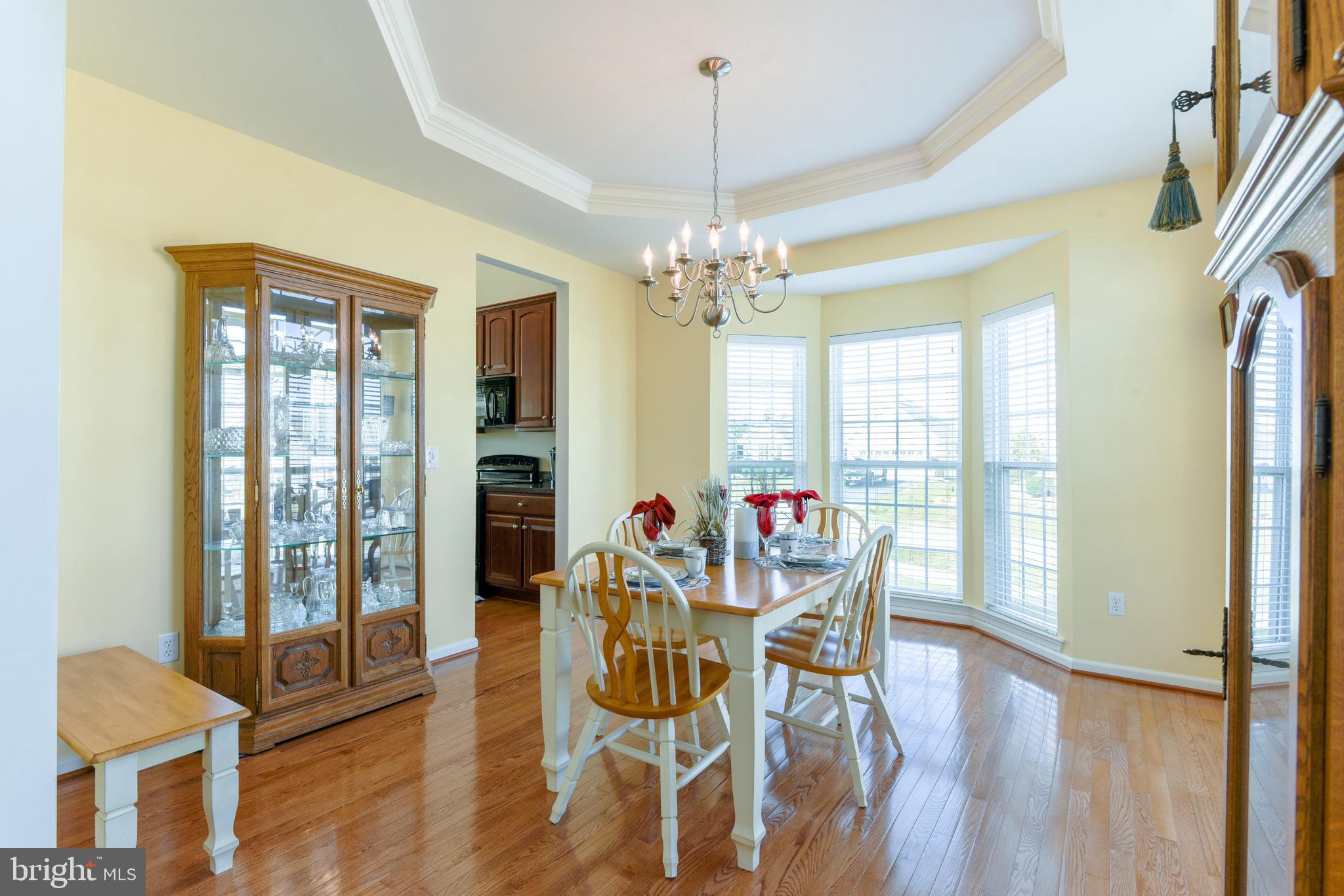 32861 Inlet Way Lewes, DE 19958 - Photo 15 of 65 Dining Room Tray Ceiling