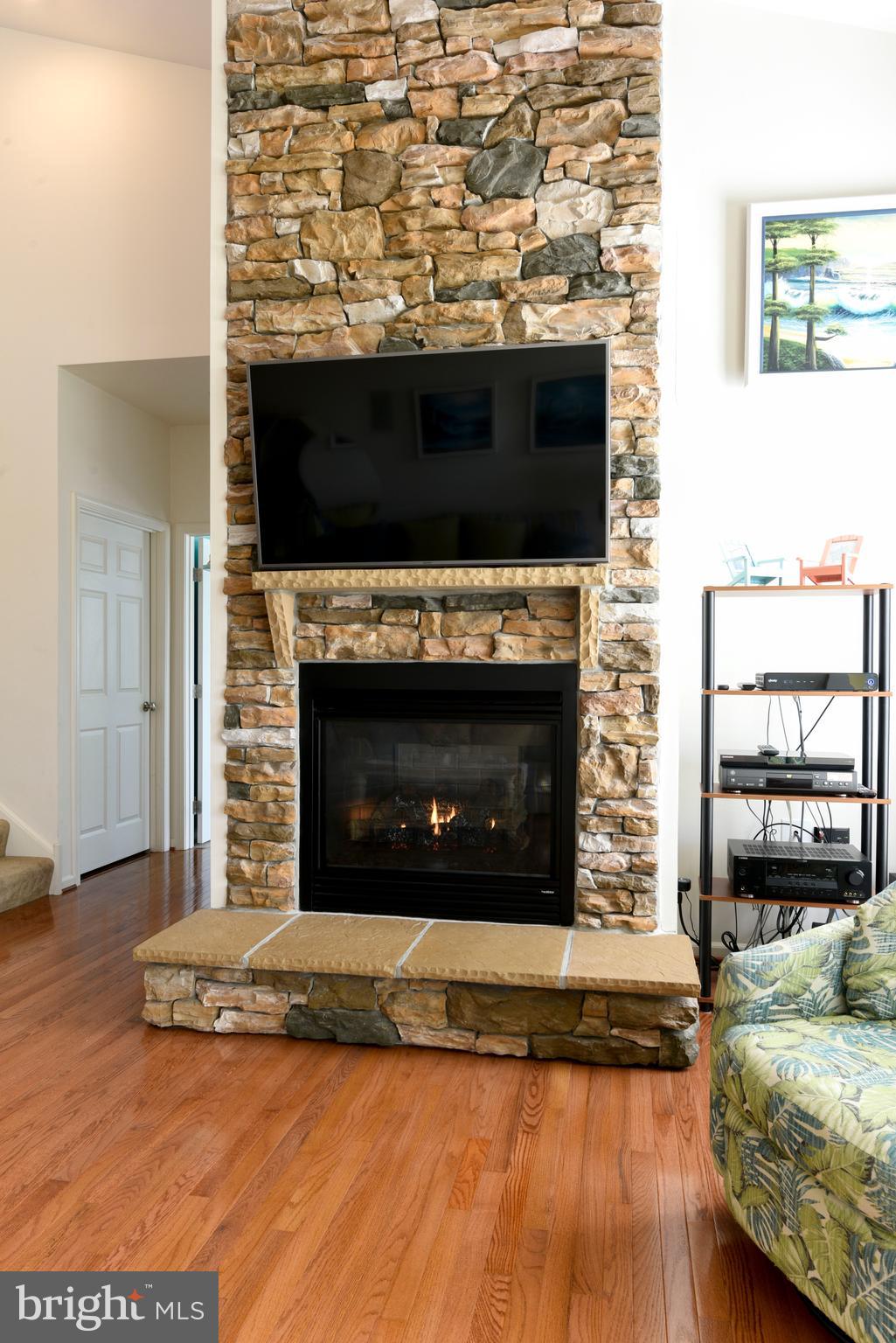 32861 Inlet Way Lewes, DE 19958 - Photo 29 of 65 Stone Fireplace