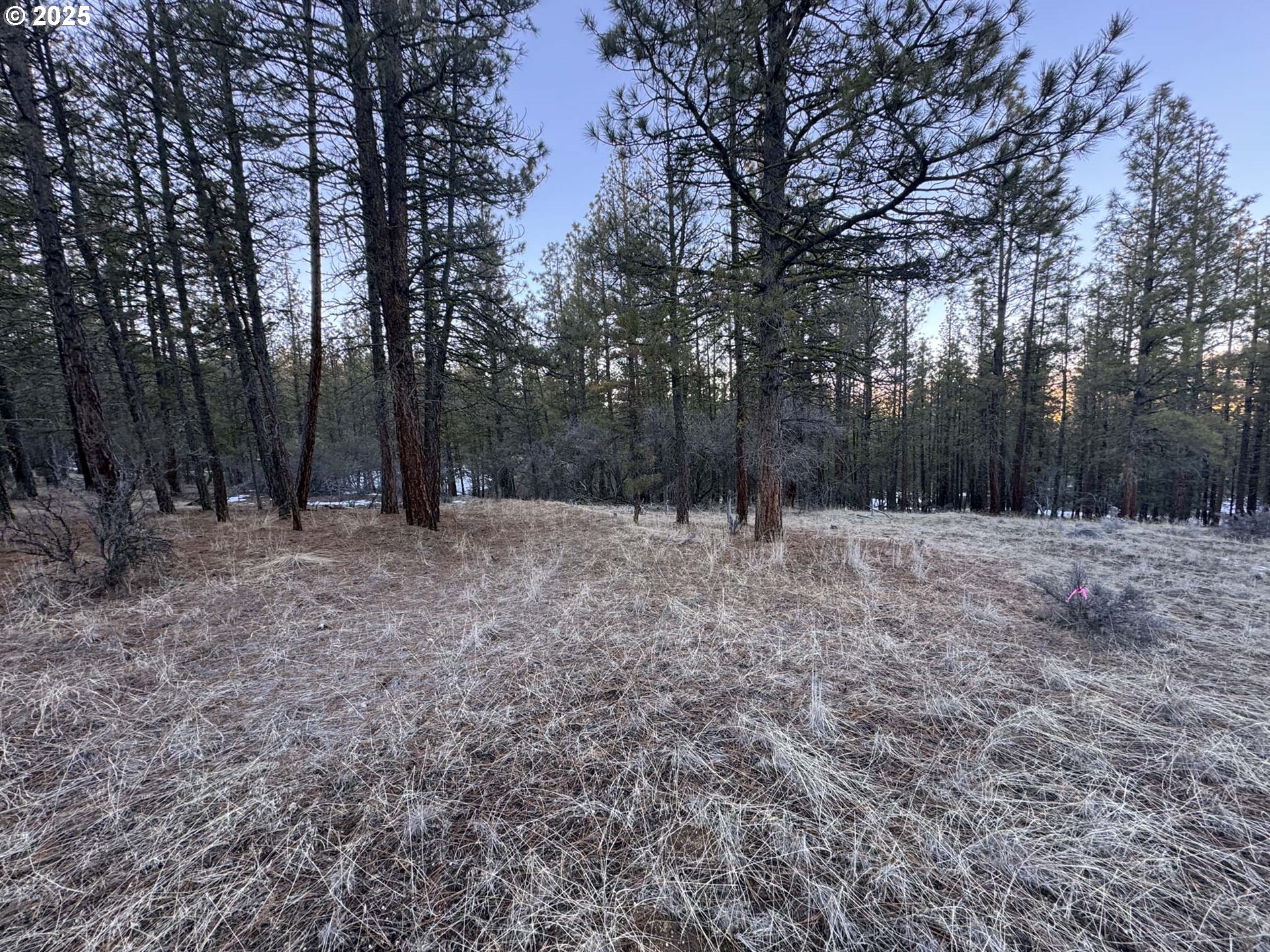Bobcat Circle Beatty, OR 97621 - Photo 3 of 30