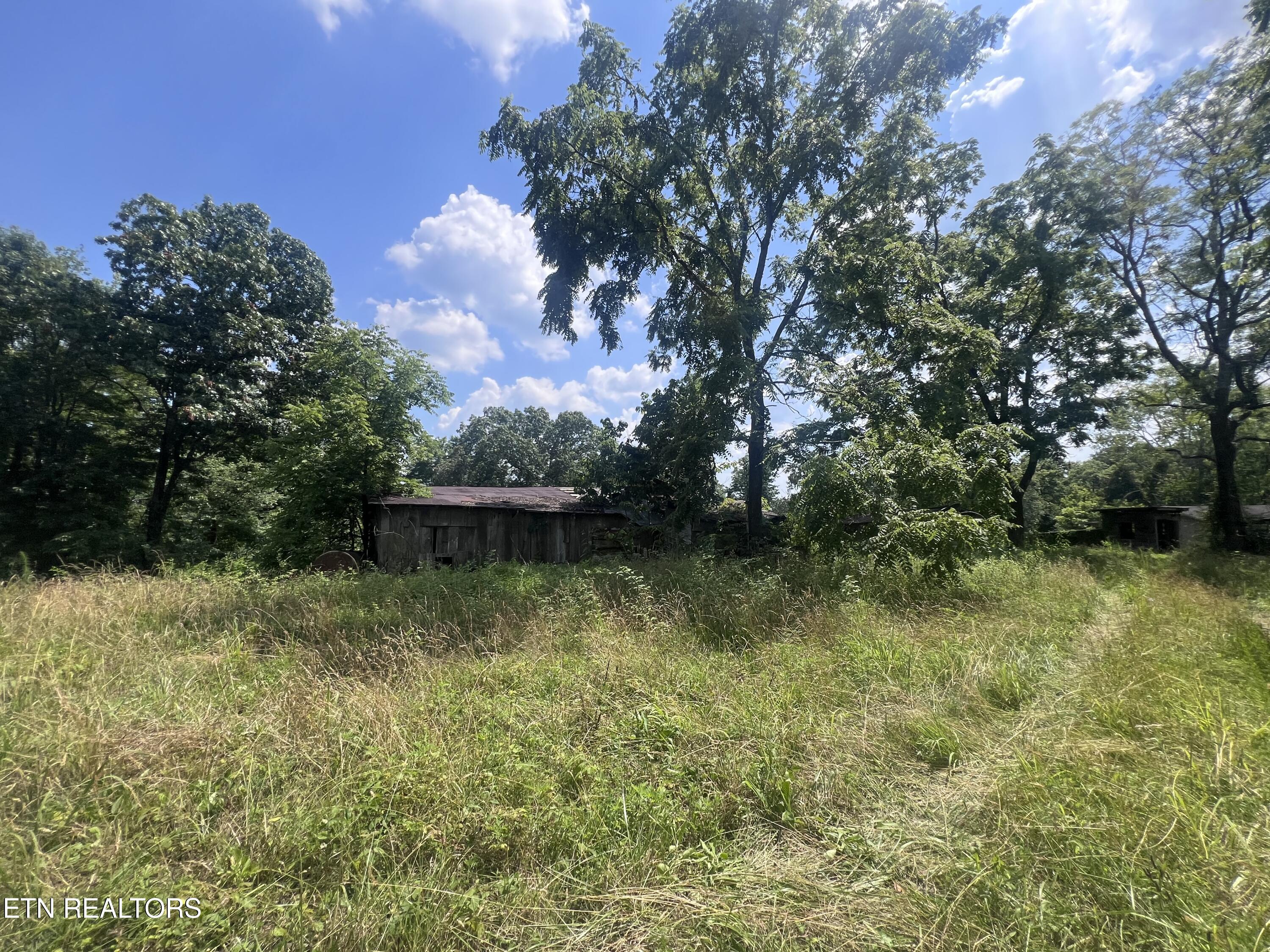 130 Earl Gooch Road Lancing, TN 37770 - Photo 11 of 19 IMG_2178