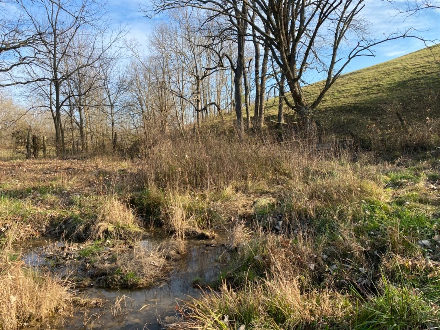 591 Rockridge Road Paris, KY 40361 - Photo 25 of 61 Photo 25