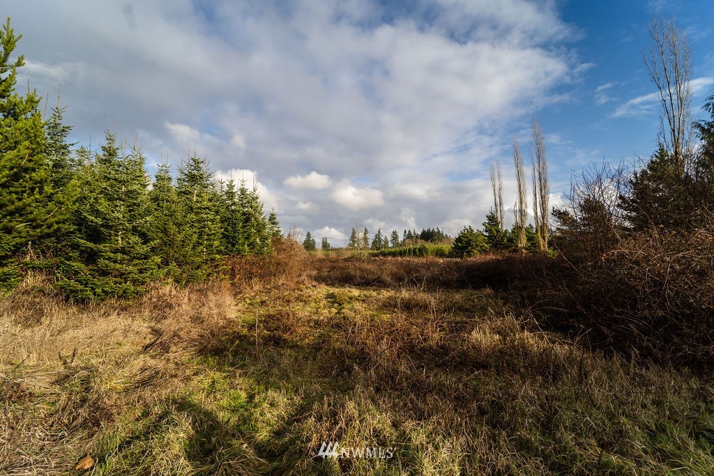 4-5 Alspach Road Onalaska, WA 98570 - Photo 1 of 12 Gallery Image 1