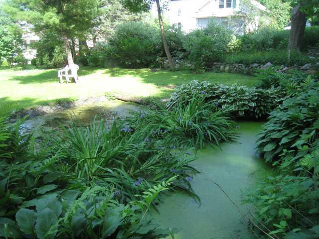 137 Riverside Drive Auburn, ME 04210 - Photo 25 of 31 Back Yard.