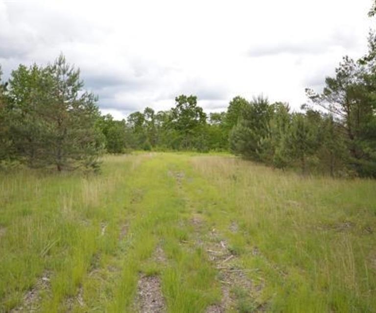 0 43 North 43 1/2 Road, Unit LOT: B Manton, MI 49663 - Photo 10 of 12