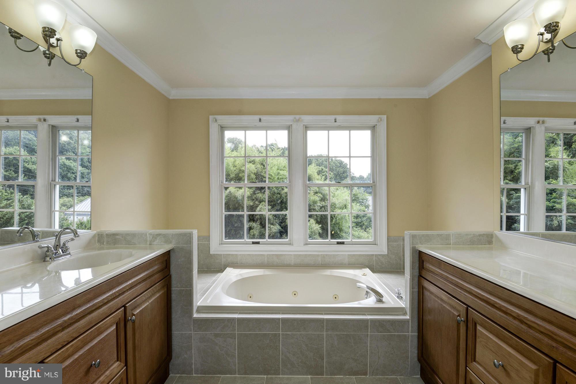 1029 Spring Hill Road McLean, VA 22102 - Photo 20 of 30 Bath (Master)
