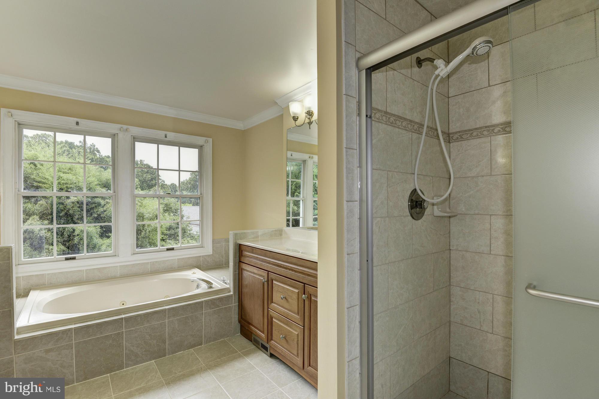 1029 Spring Hill Road McLean, VA 22102 - Photo 21 of 30 Bath (Master)