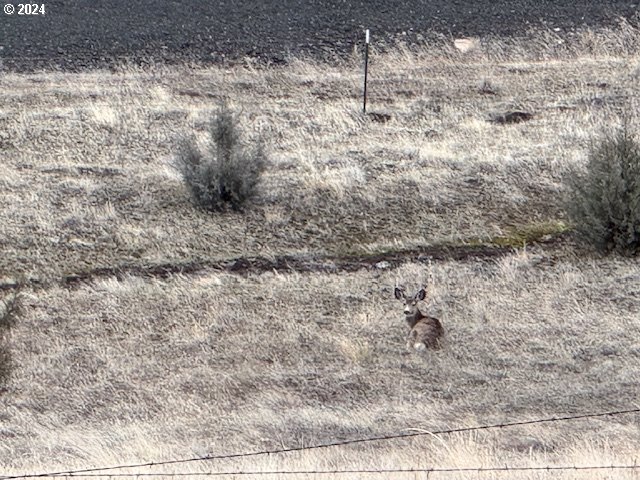 26248 West Bench Road John Day, OR 97845 - Photo 25 of 27
