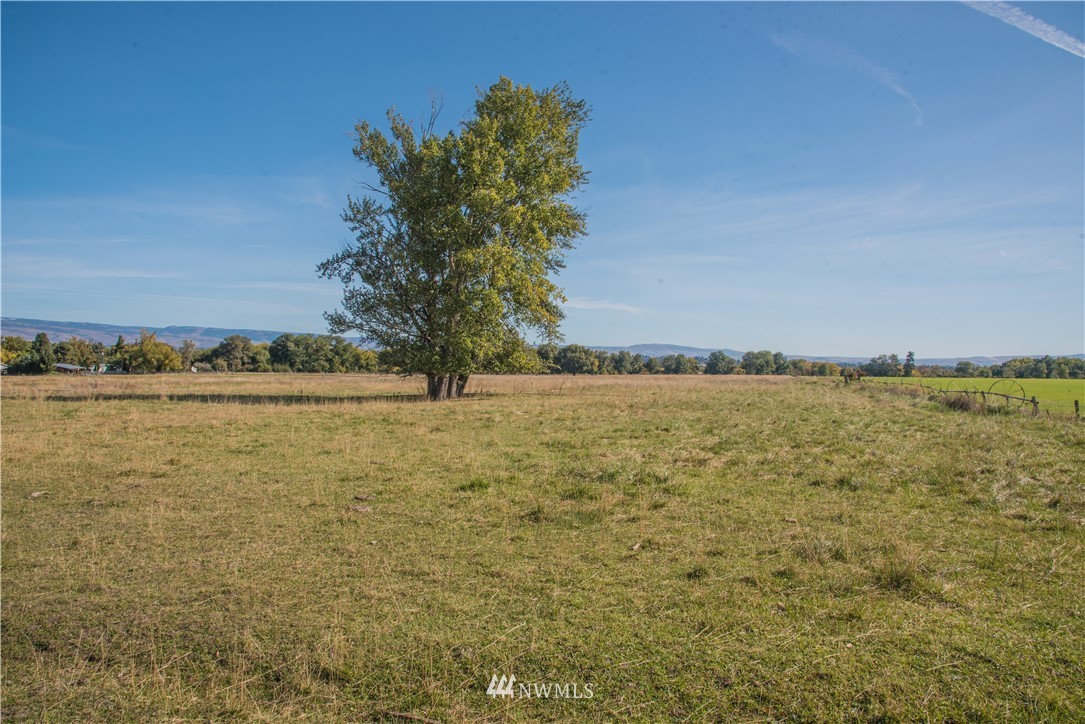 1320 Brown Road Ellensburg, WA 98926 - Photo 27 of 28 Gallery Image 27