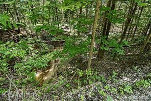 N/a Franklin Trail Sterling, MI 48749 - Photo 5 of 19