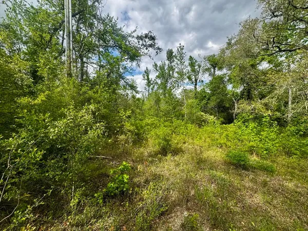 $140,000 | 3084 Northeast Chervil Drive, Lee, FL 32059