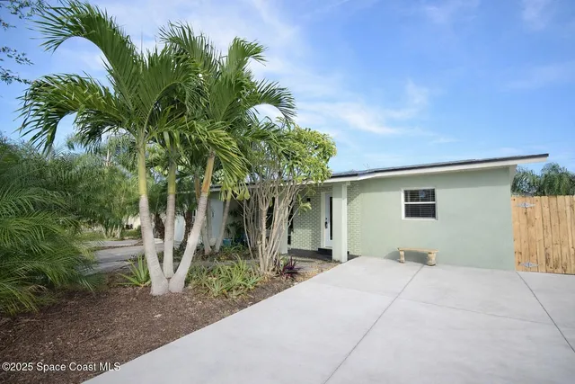 a backyard of a house with potted plants and large tree