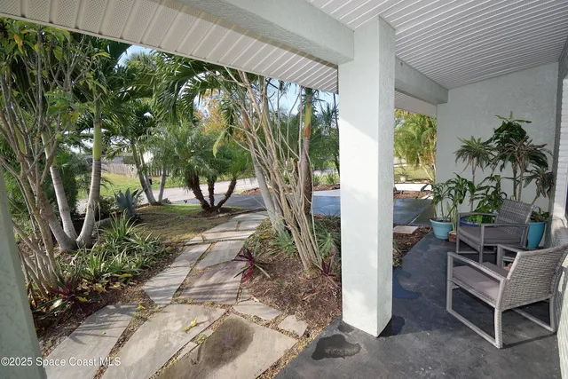 a view of a backyard with plants and a garden