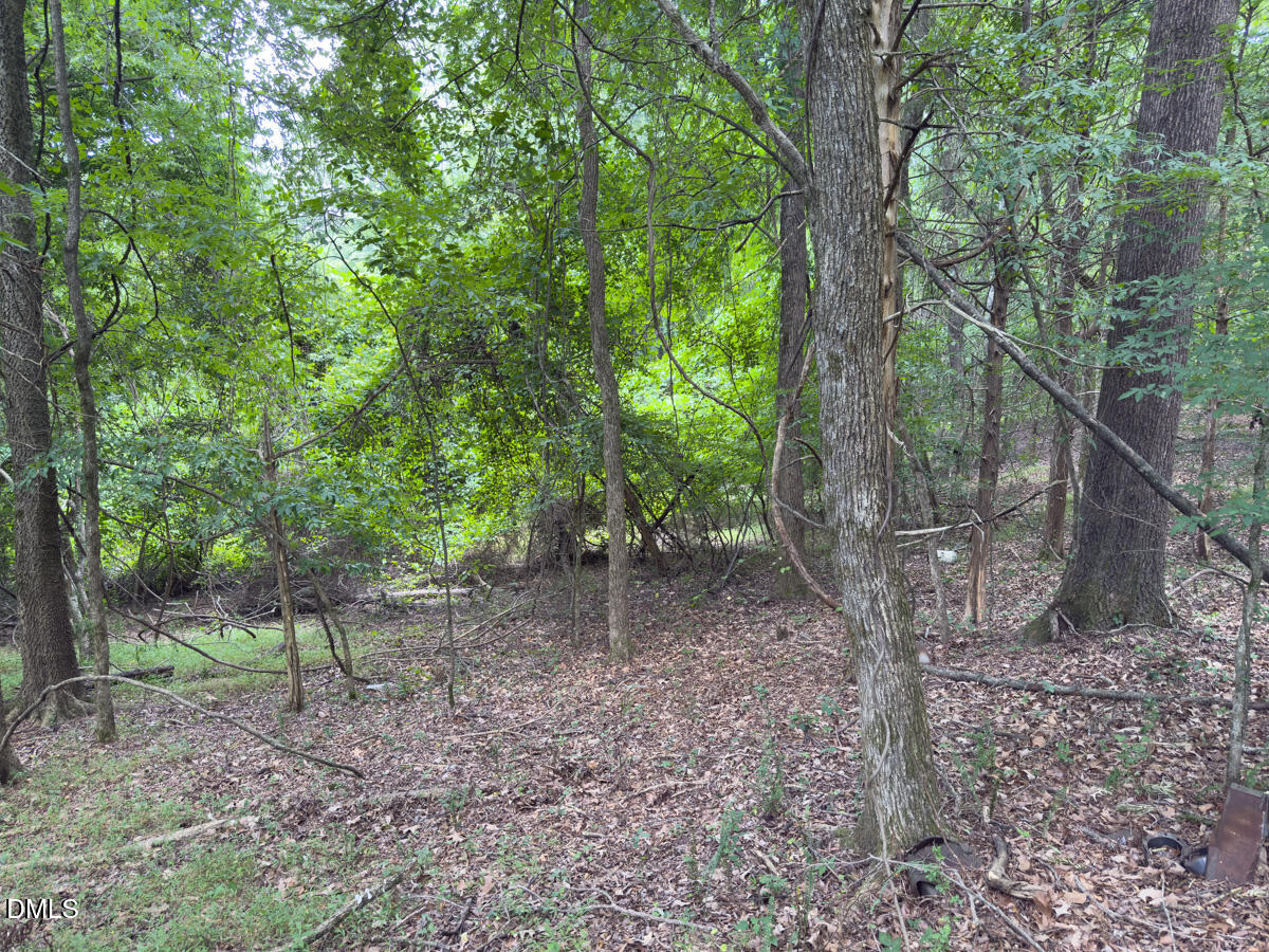 0 Mt Pleasant Church Road Manson, NC 27553 - Photo 24 of 43