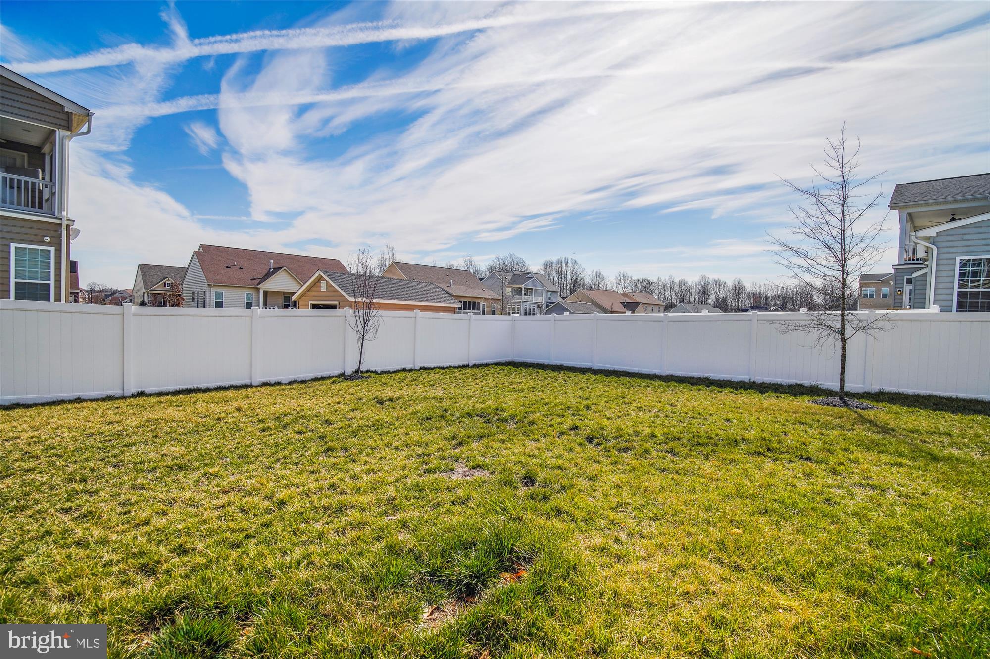 12600 Abercorn Place Brandywine, MD 20613 - Photo 42 of 43 a view of a backyard with plants and large tree