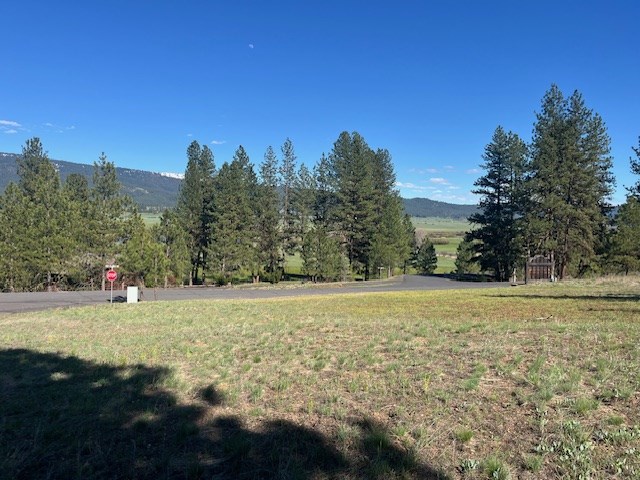 B11-l9 Hot Springs Road, Unit 9 New Meadows, ID 83654 - Photo 3 of 20
