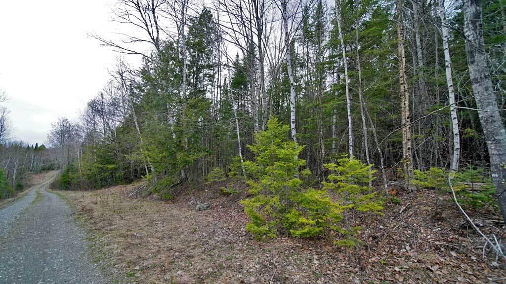 Lot 8 Haynes Road Wytopitlock, ME 04497 - Photo 11 of 32 bancroft-me-land-camp-4