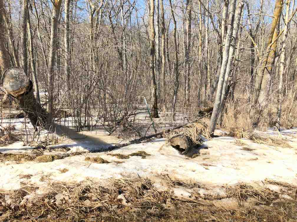 20-acres Carpenter Road Mauston, WI 53948 - Photo 1 of 1 Gallery Image 1