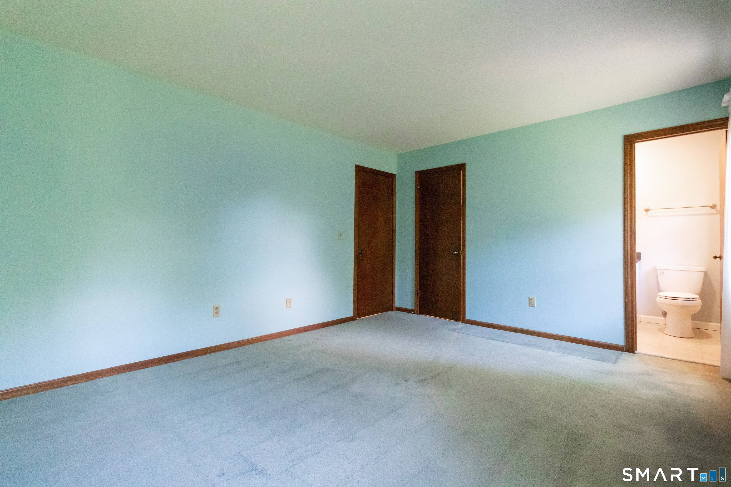15 Kennedy Road Windsor, CT 06095 - Photo 24 of 40 Primary bedroom walk in closet