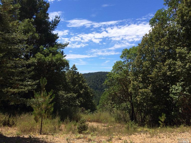 500 Kalinda Road Cazadero, CA 95421 - Photo 1 of 1 Gallery Image 1