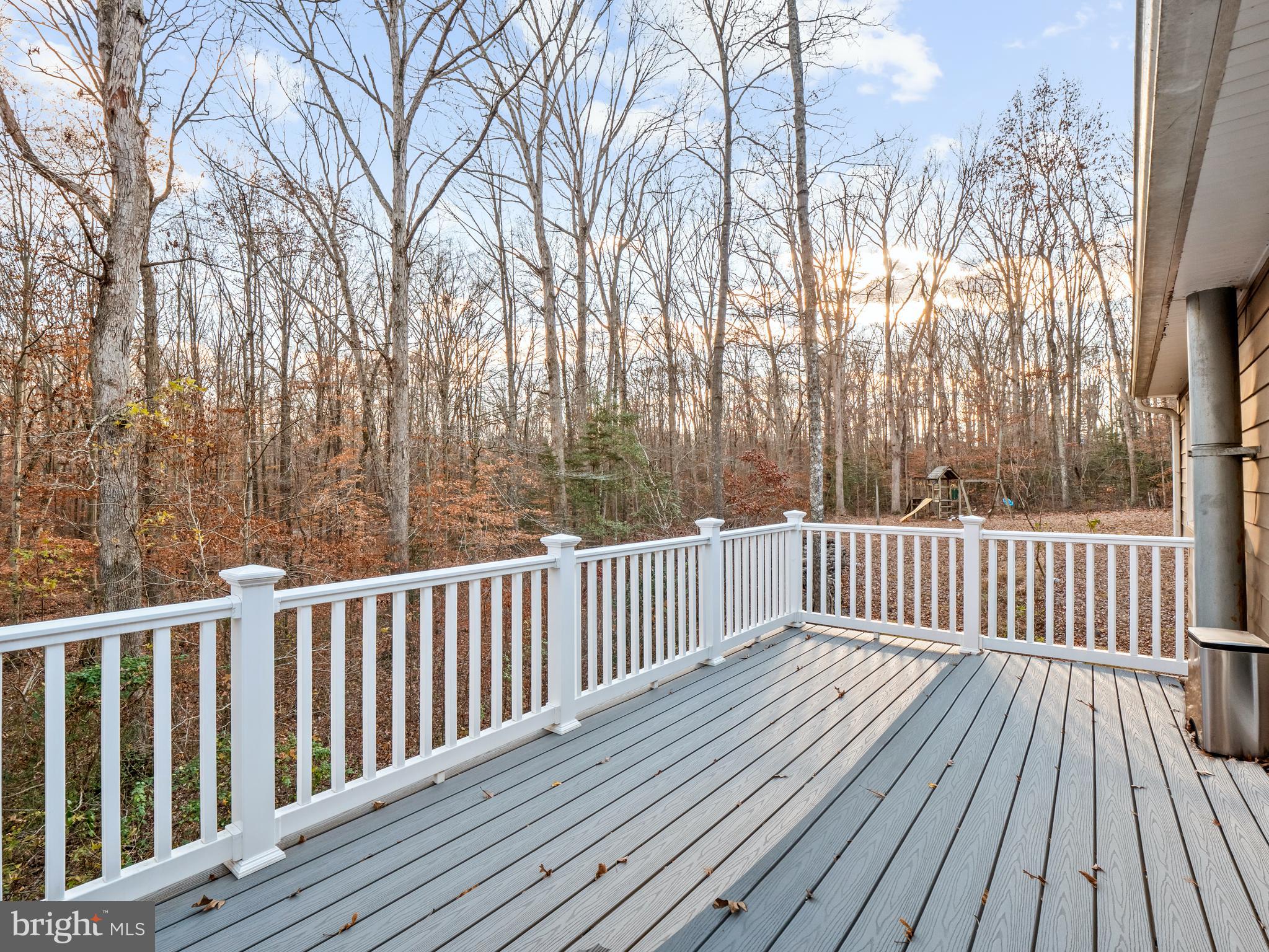 111 Eley Road Fredericksburg, VA 22406 - Photo 30 of 36 Rear Deck