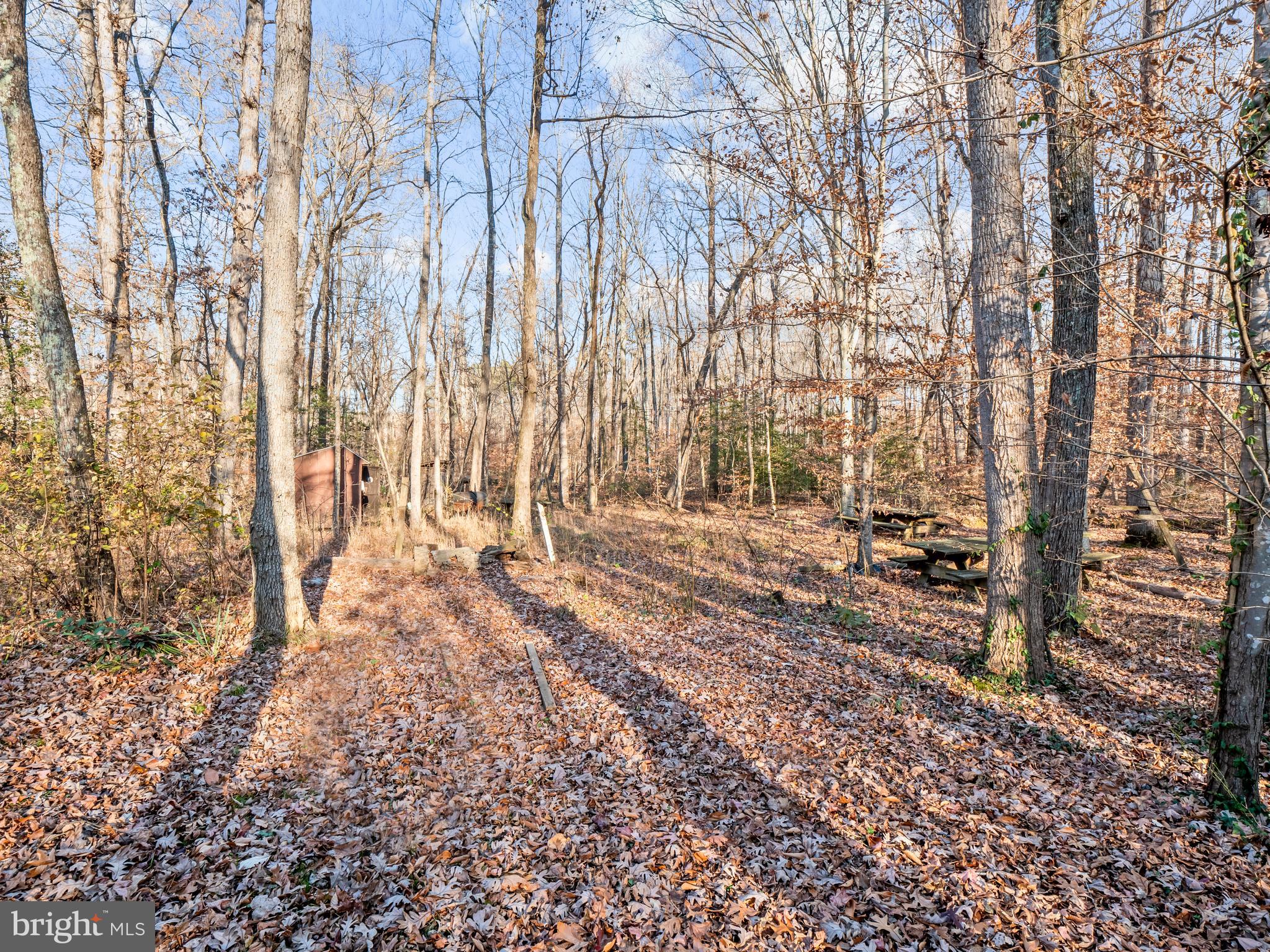 111 Eley Road Fredericksburg, VA 22406 - Photo 31 of 36 Exterior picnic area