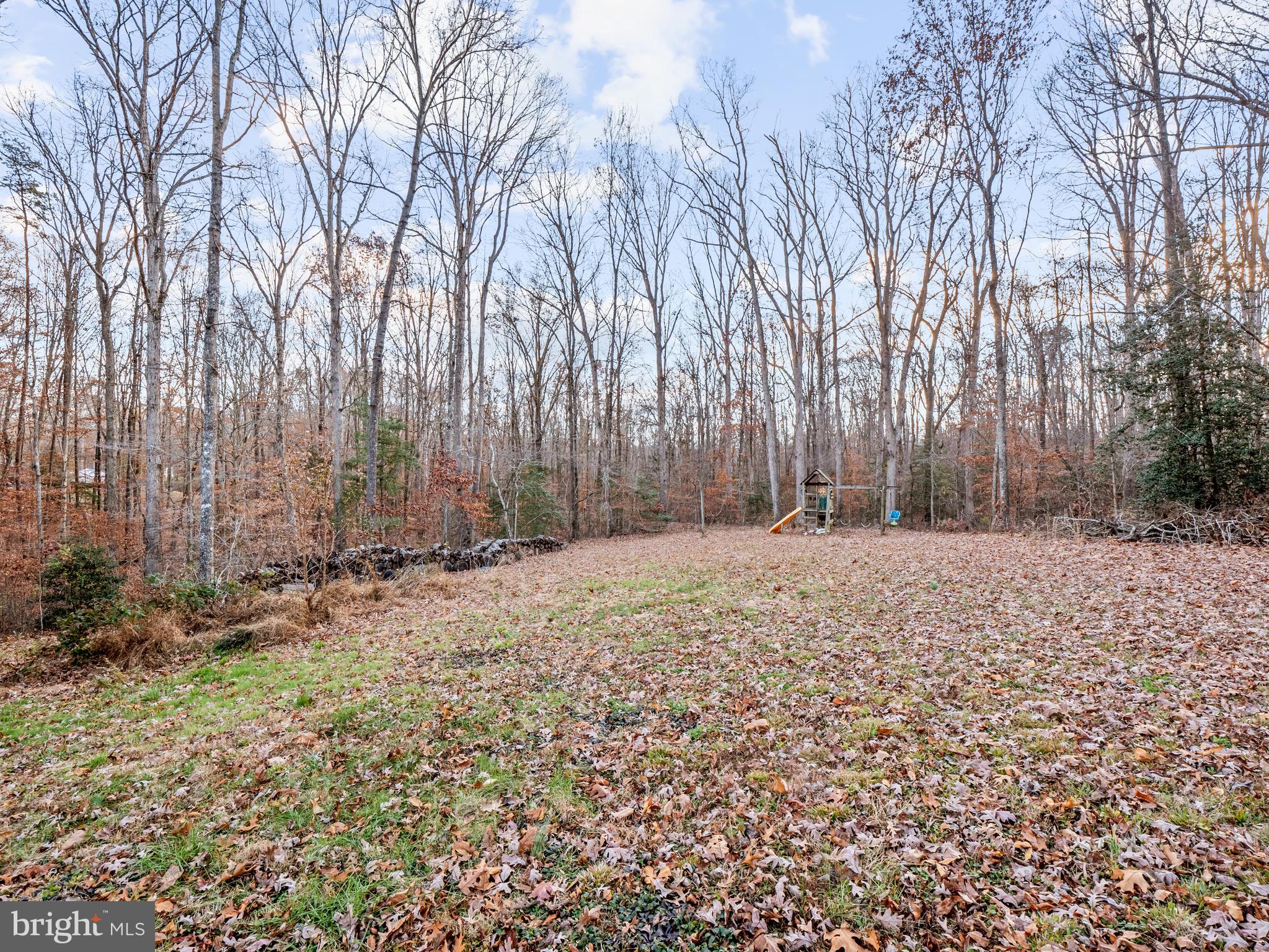 111 Eley Road Fredericksburg, VA 22406 - Photo 32 of 36 Large private front yard