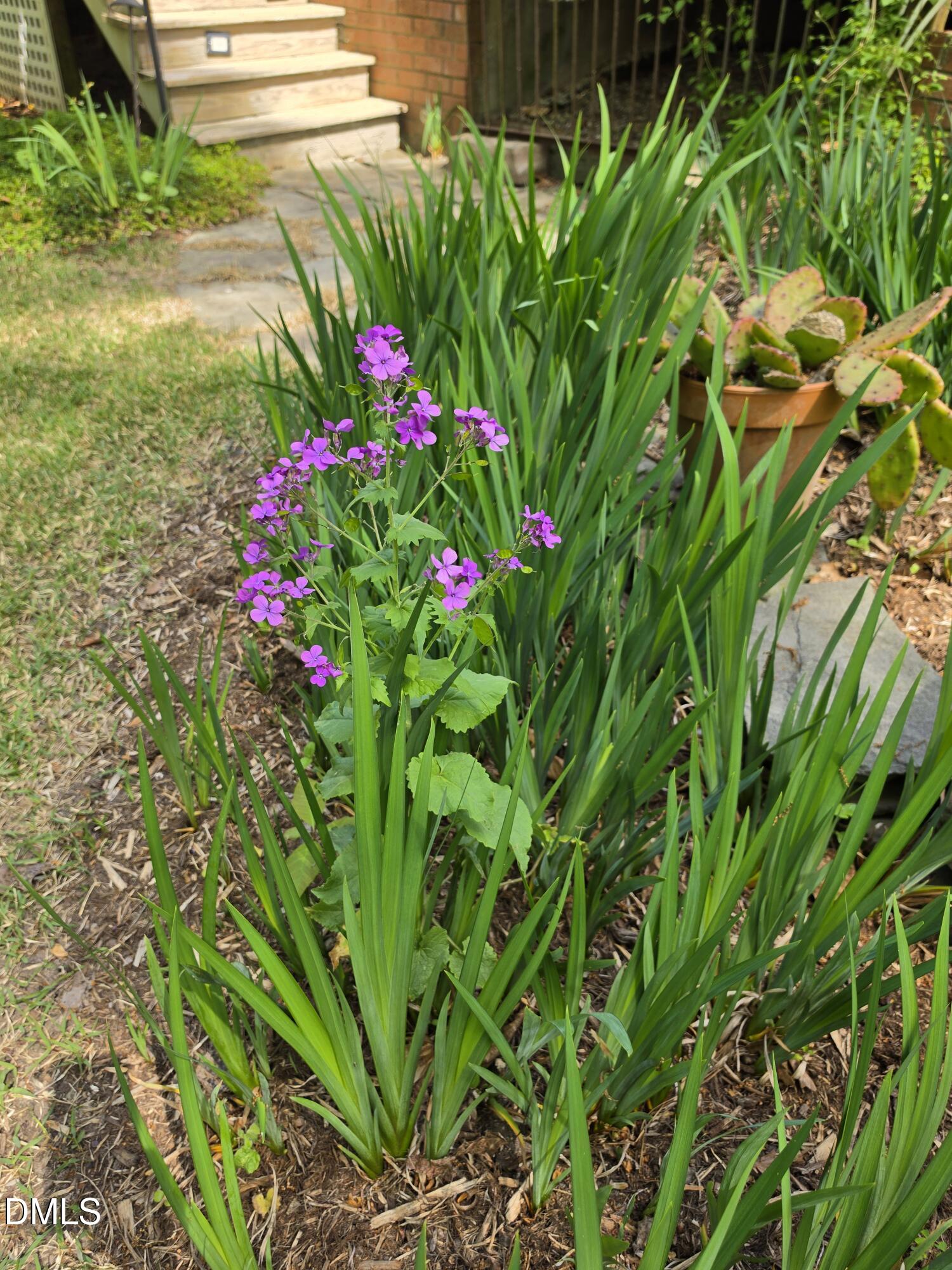 115 Persimmon Hill Road Pittsboro, NC 27312 - Photo 72 of 84 20260409_140353