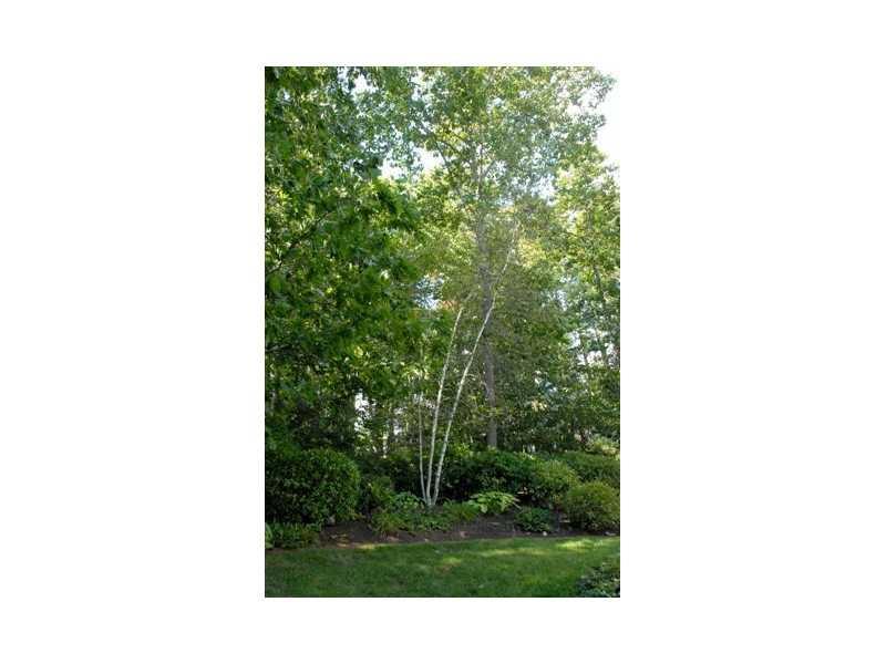 14 Harraseeket Road Freeport, ME 04032 - Photo 11 of 13 Yard/Garden.