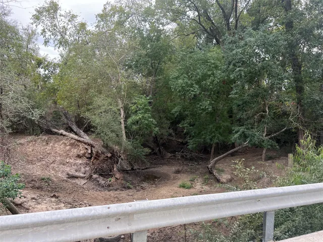 $160,000 | Lot 10 County Road 166, Iola, TX 77861